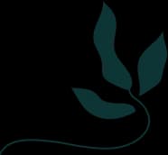 footer1
